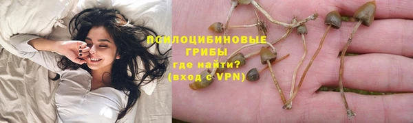 прущие грибы Балабаново
