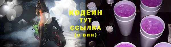 прущие грибы Балабаново