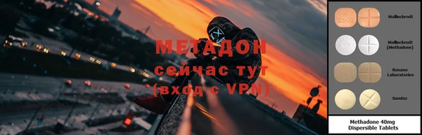прущие грибы Балабаново