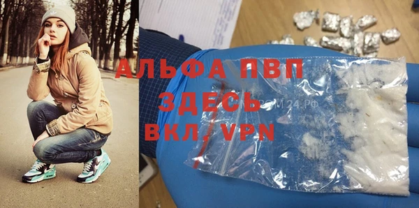 прущие грибы Балабаново