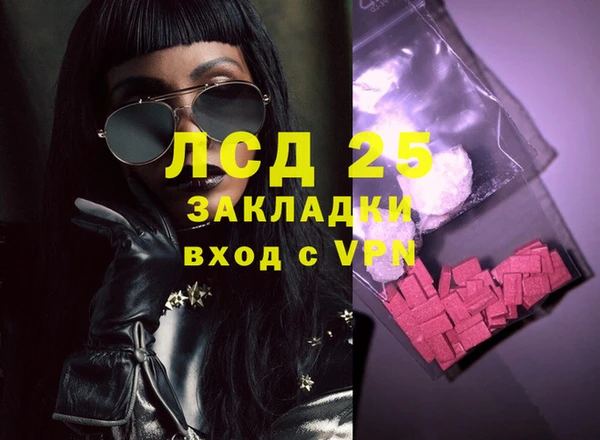 прущие грибы Балабаново