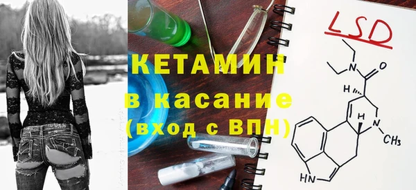 прущие грибы Балабаново