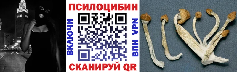 где продают Солигалич Галлюциногенные грибы GOLDEN TEACHER